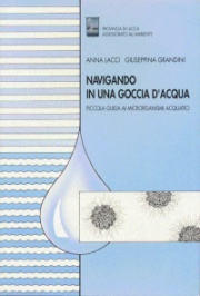 Navigando in una goccia d'acqua