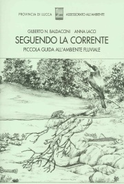 Seguendo la corrente